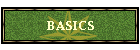 BASICS